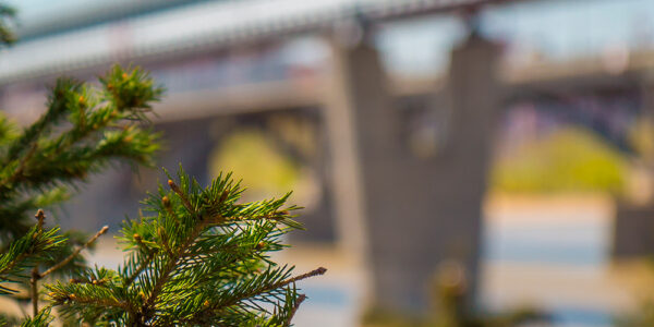 Москва — Новосибирск