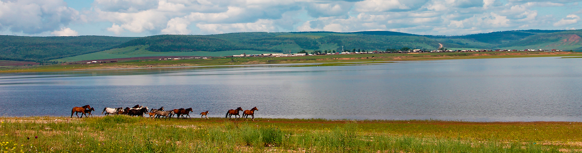 Авиабилеты Москва - Братск