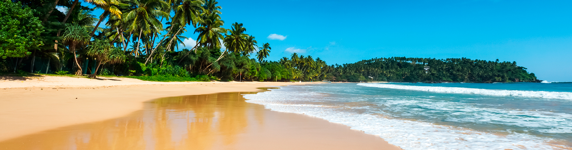 Авиабилеты Москва - Коломбо