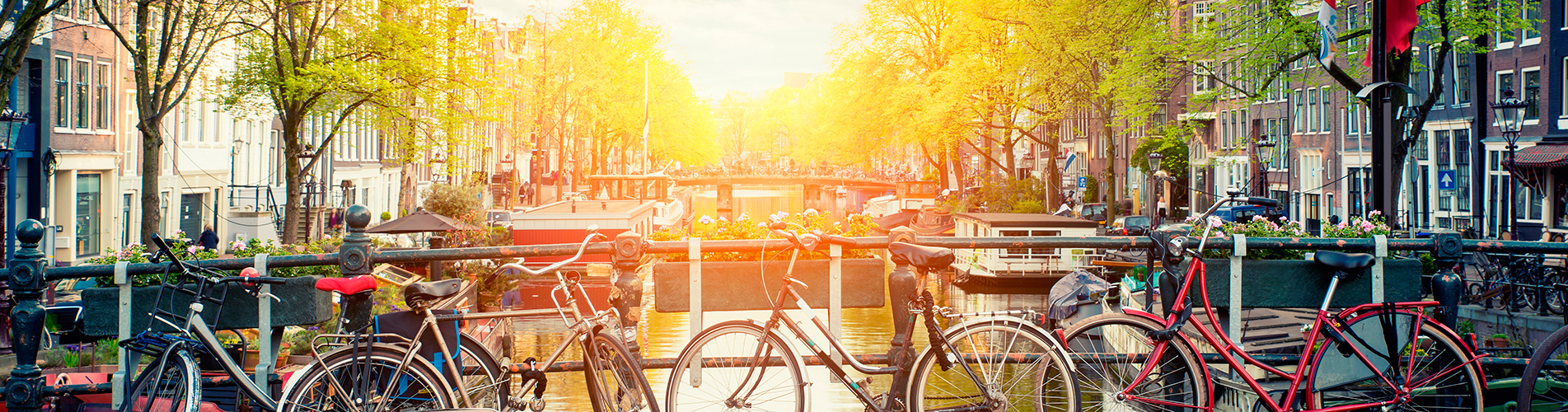 Авиабилеты Москва - Эйндховен