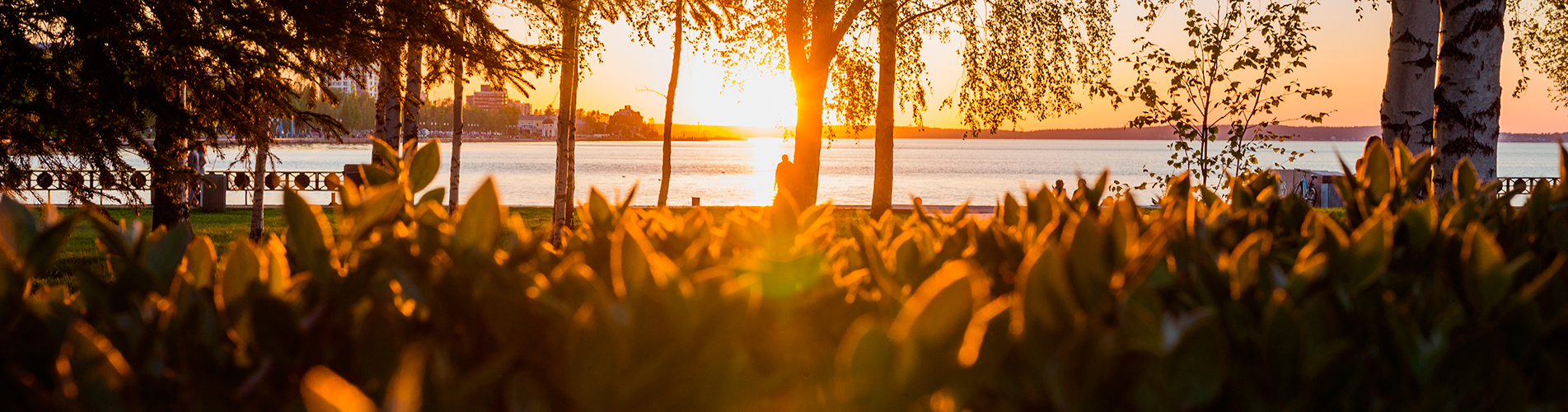 Авиабилеты Москва - Петрозаводск