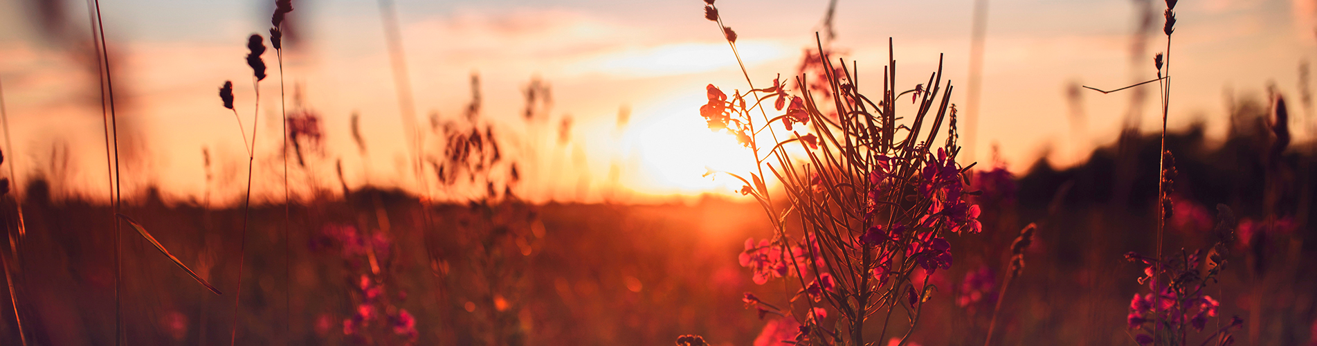 Авиабилеты Москва - Псков