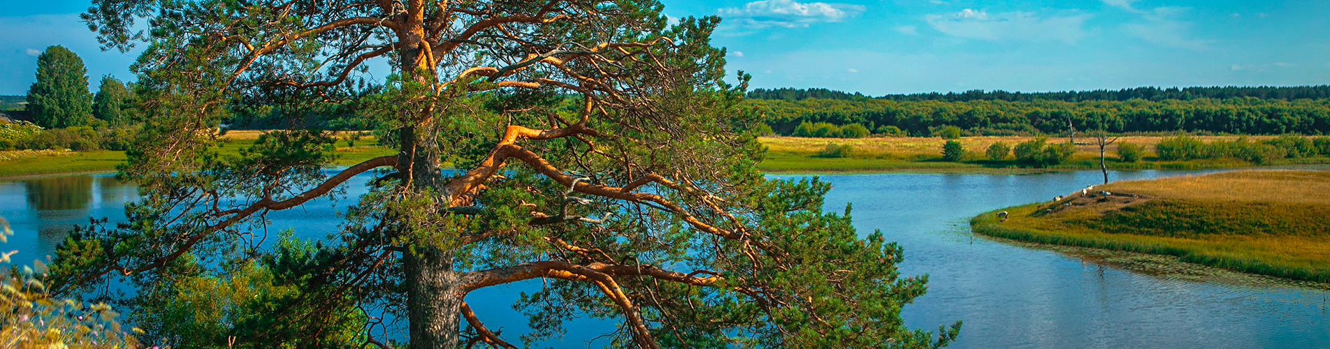 Авиабилеты Москва - Ухта