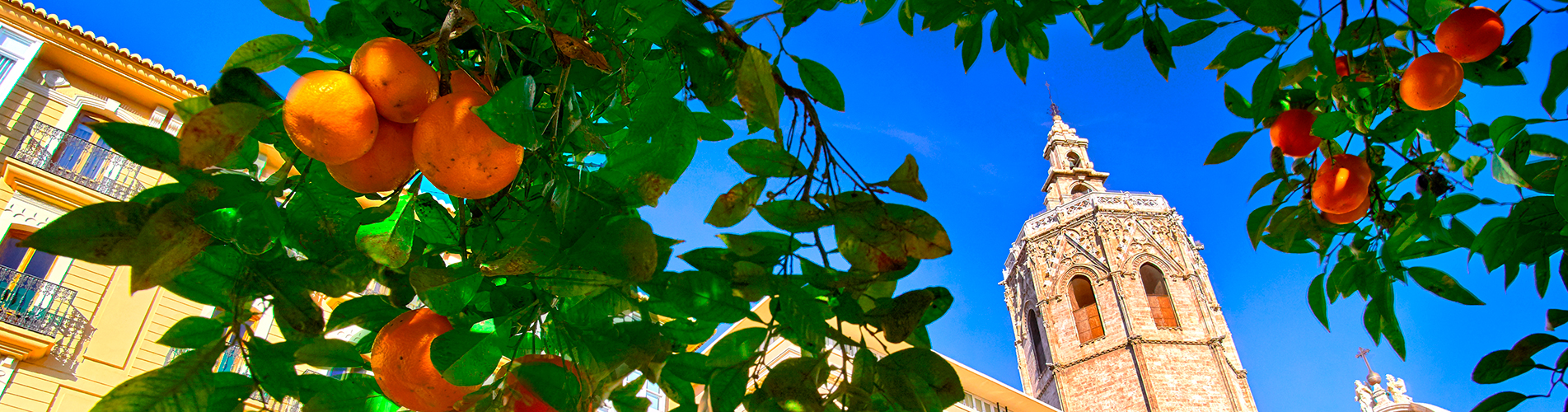 Авиабилеты Москва - Валенсия